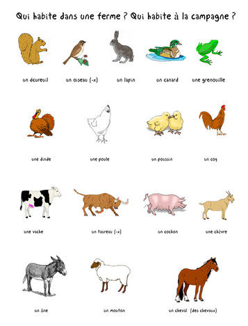 Farm Animals - French Tutoring and Resources